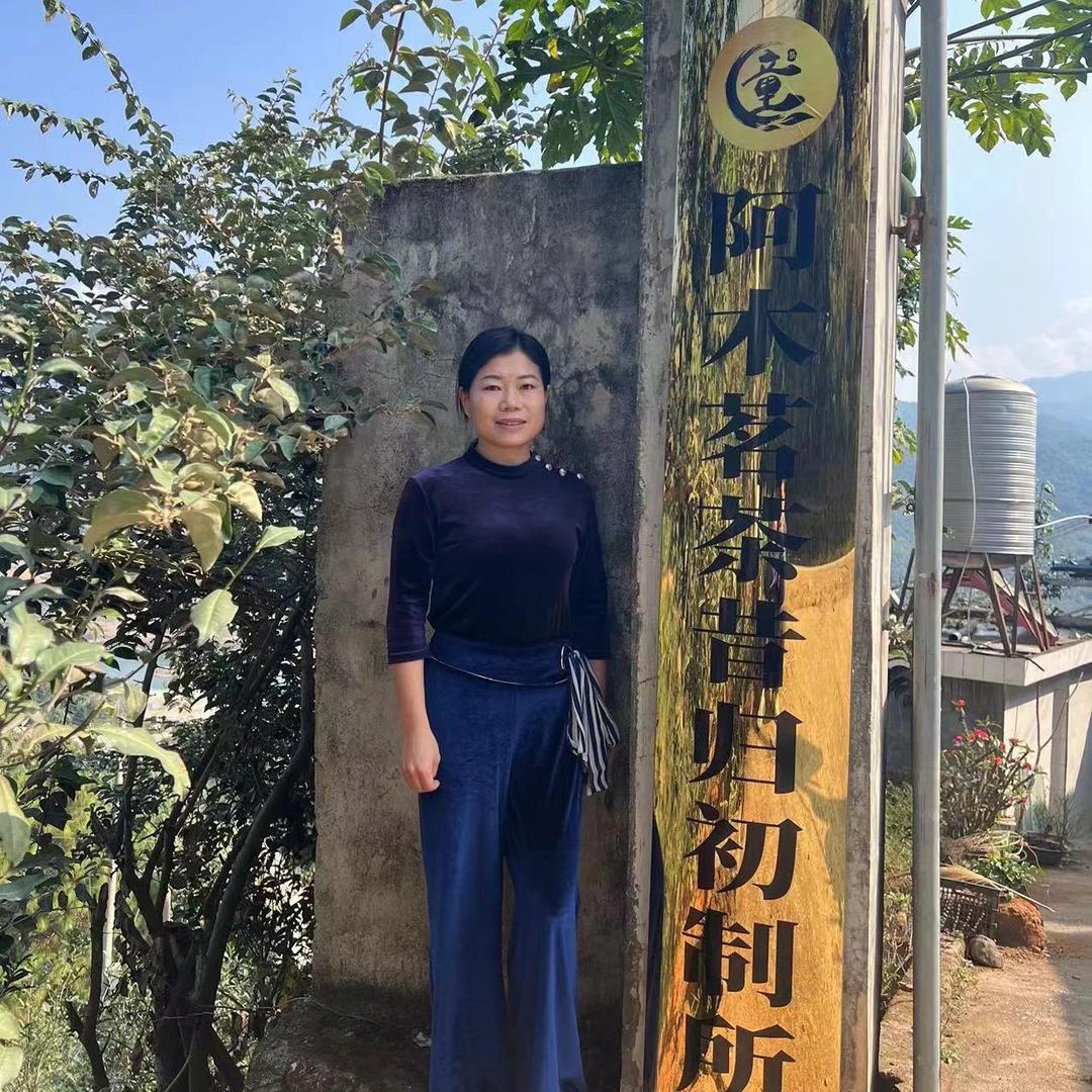 临沧昔归忙麓山童阿木昔归茗茶