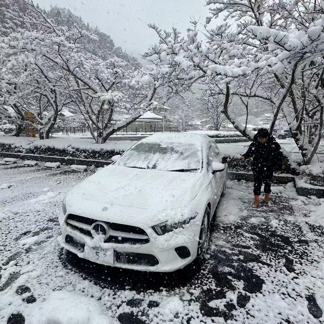 小黑🐈‍⬛的小黑🐕‍🦺