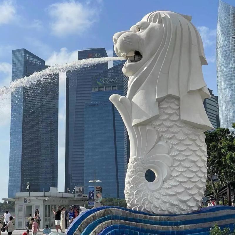 新加坡留学姚老师