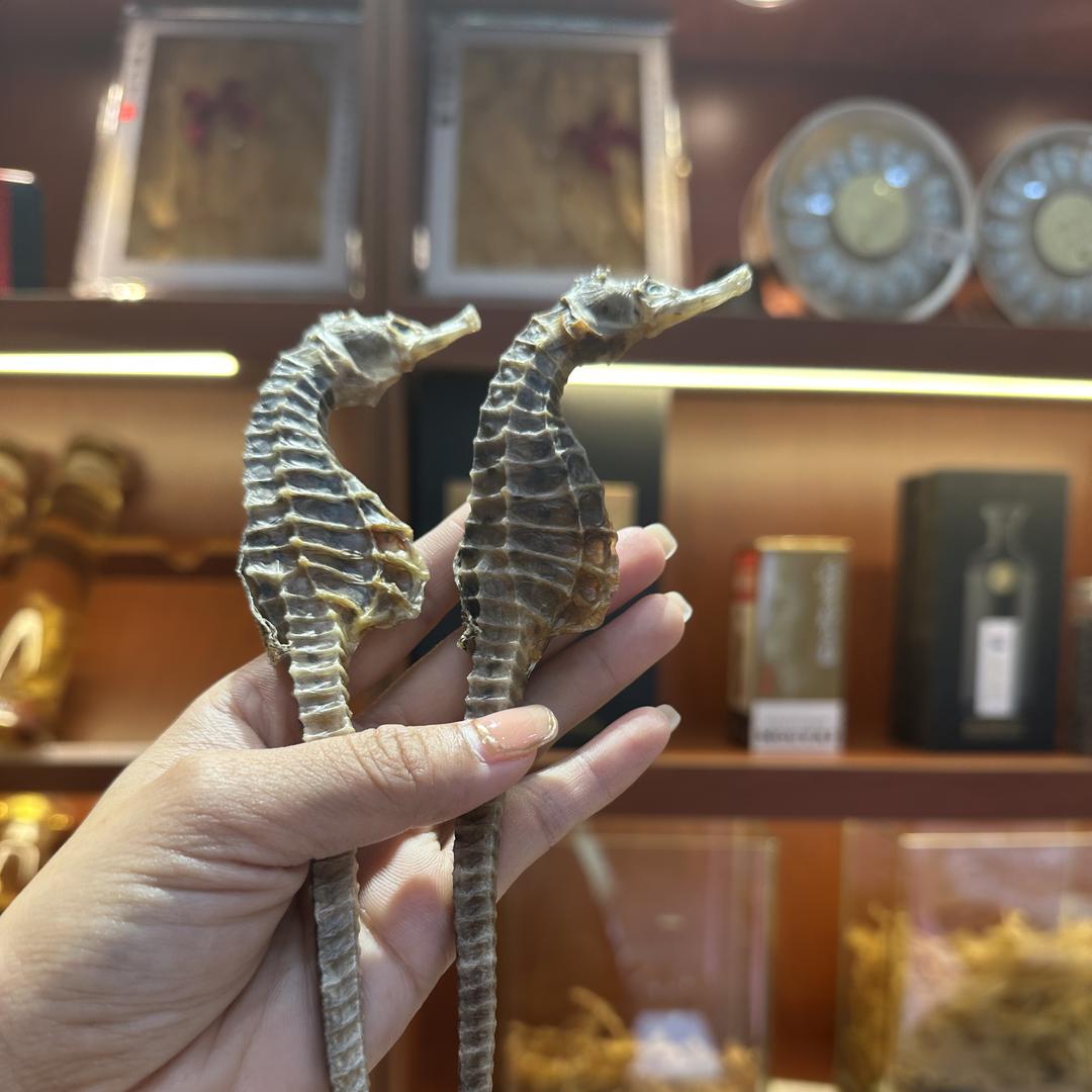 御熹堂海马土特产店