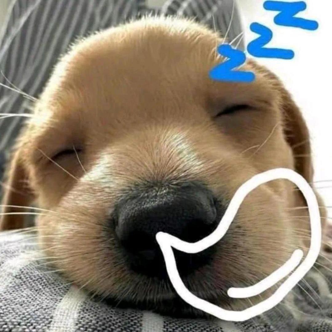 听海