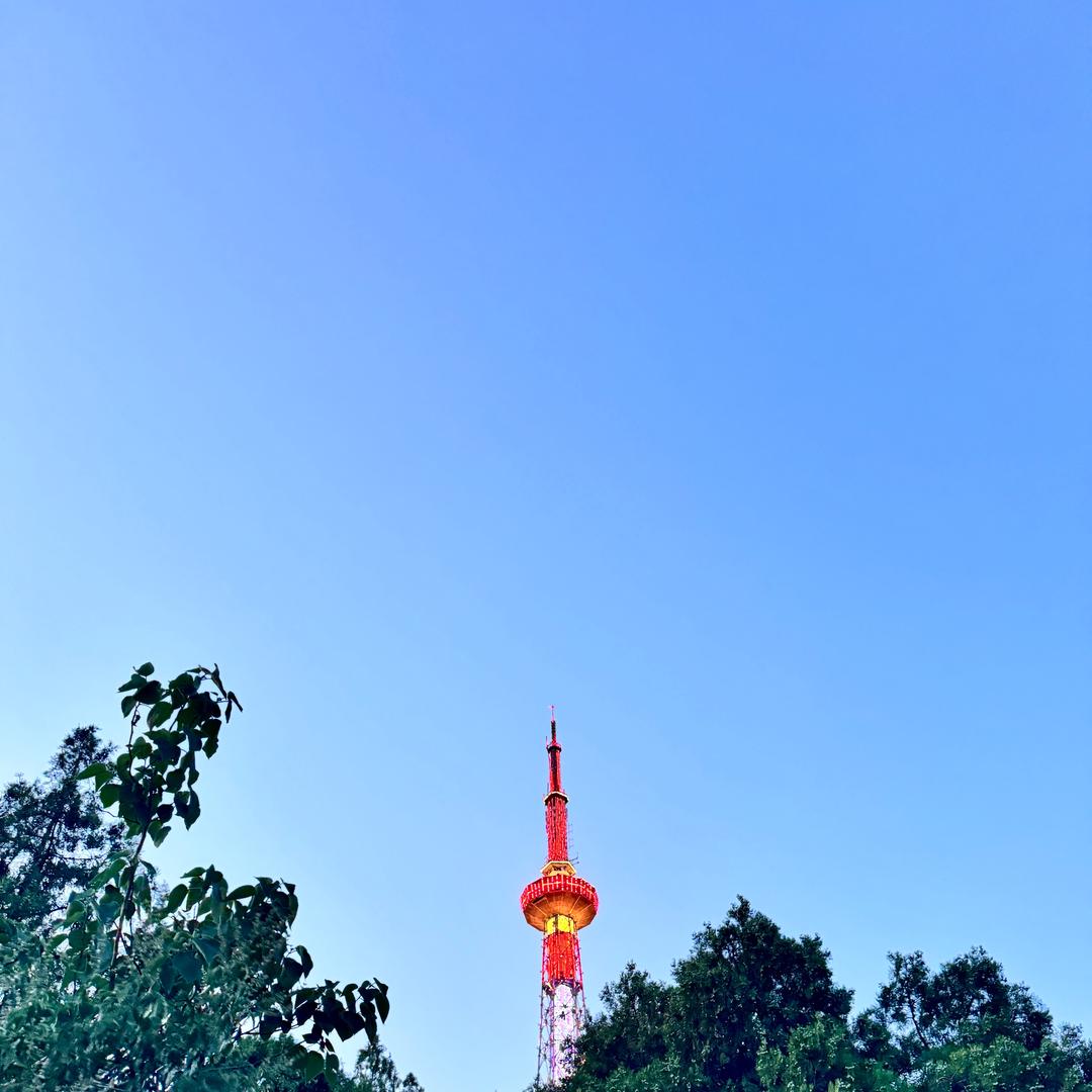 疯狂姐妹👭