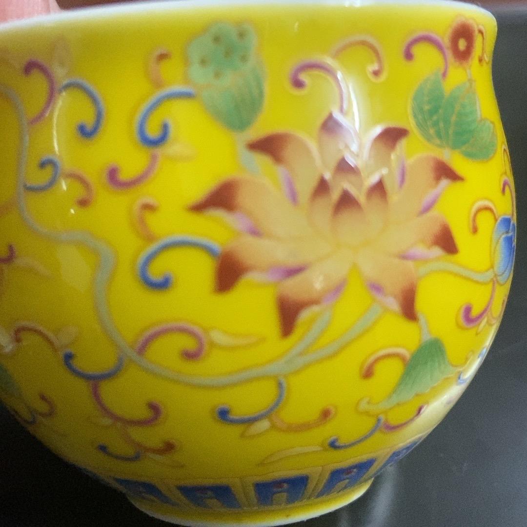 袁心意