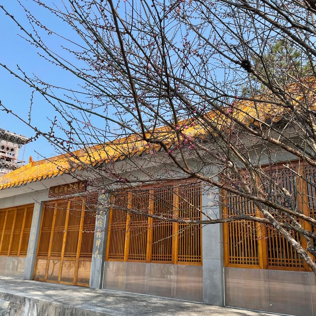 婉