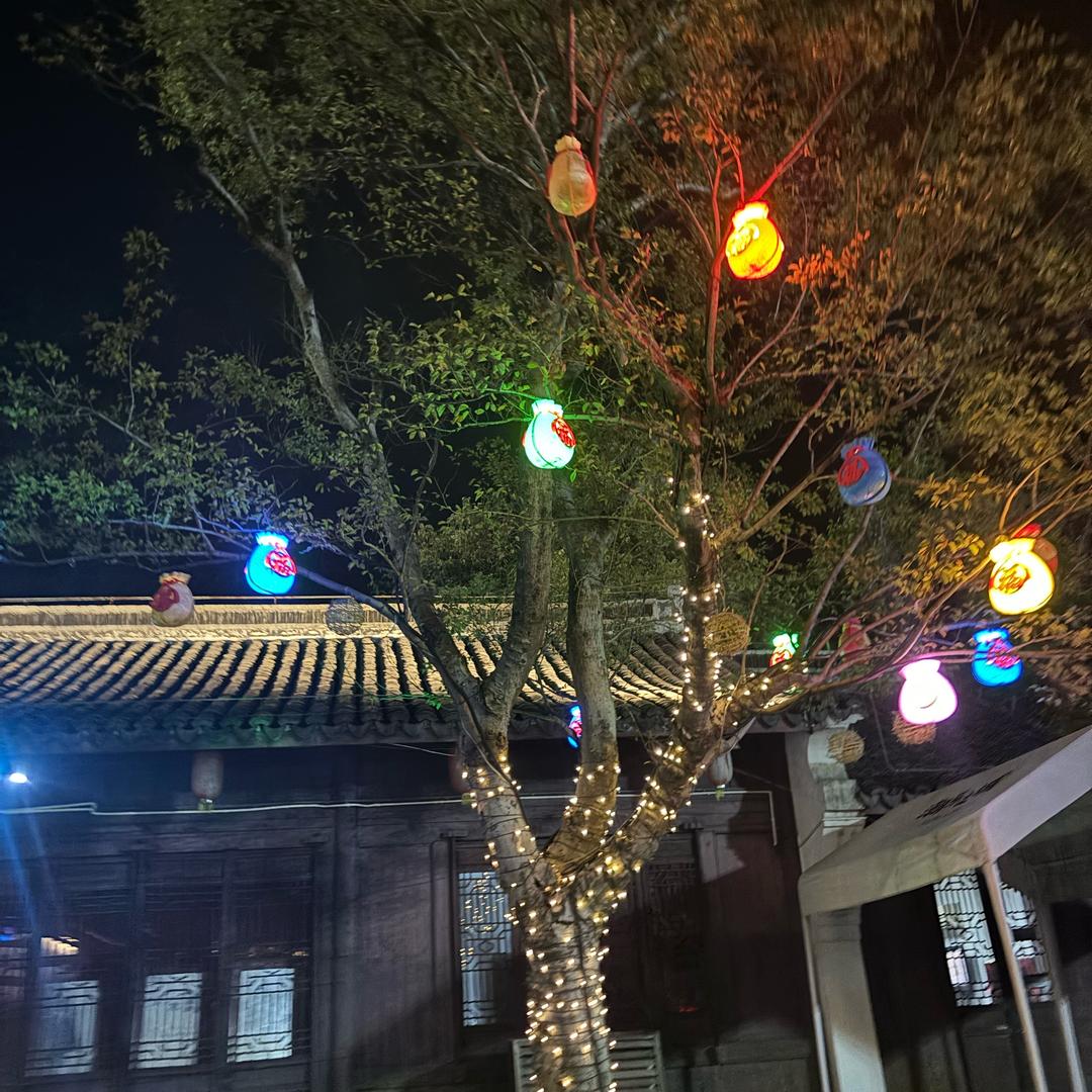 惟心所愿