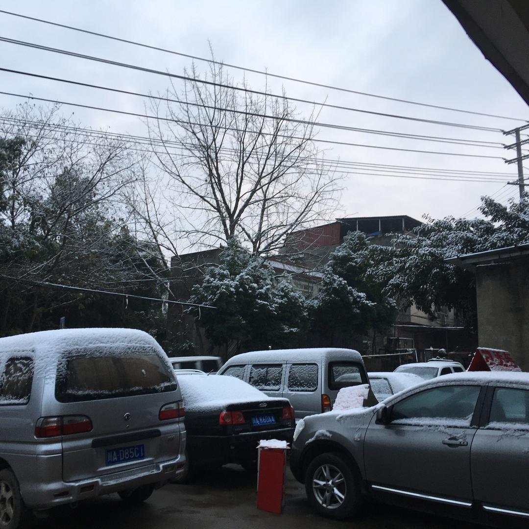 成都 鑫悦二手车（杨杨杨)