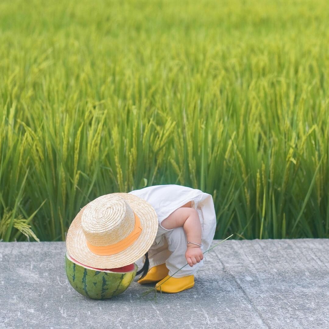 一只绵羊🐏