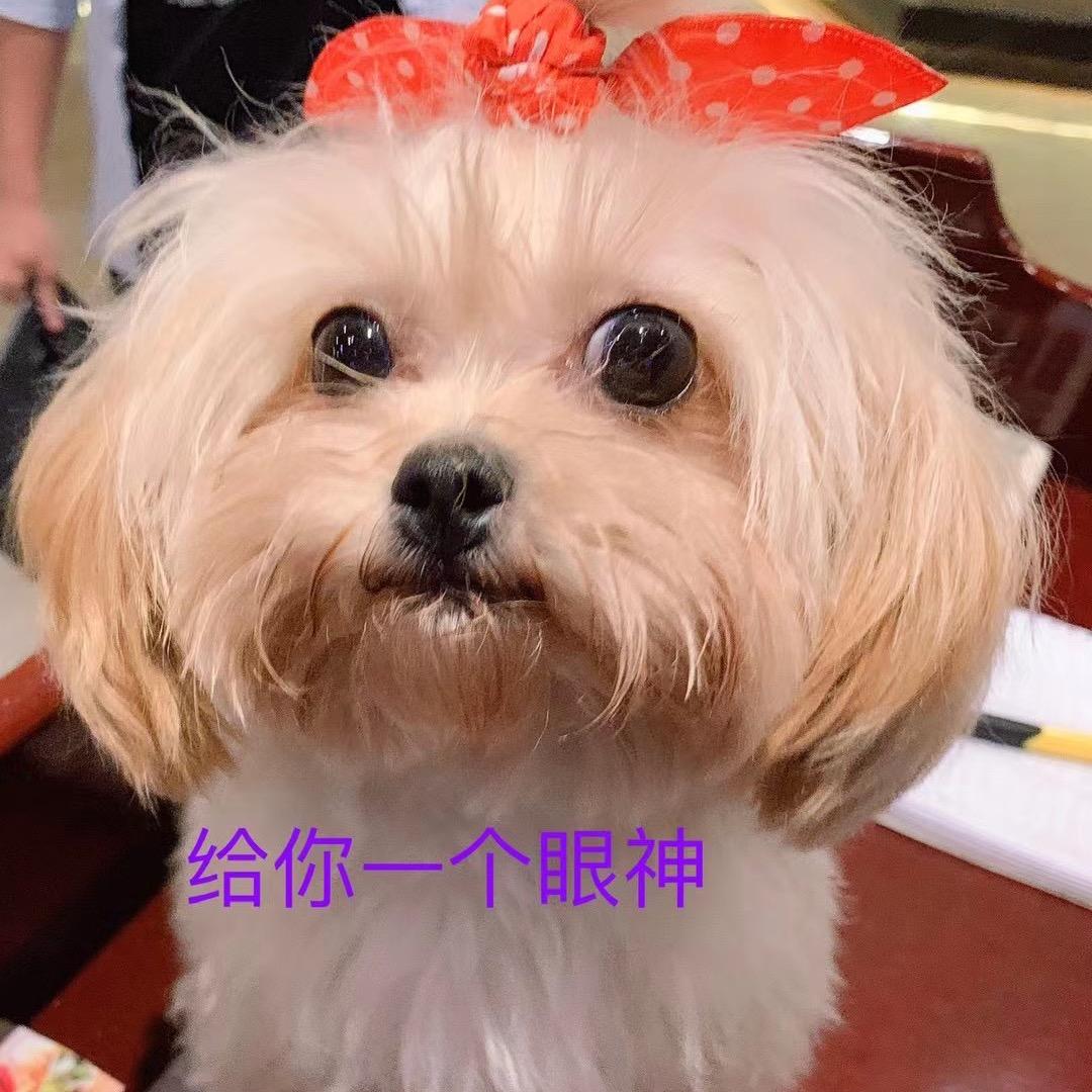 💋别说话，kiss me