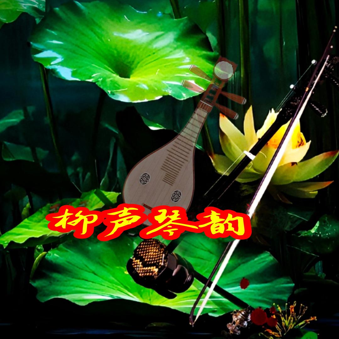柳声琴韵