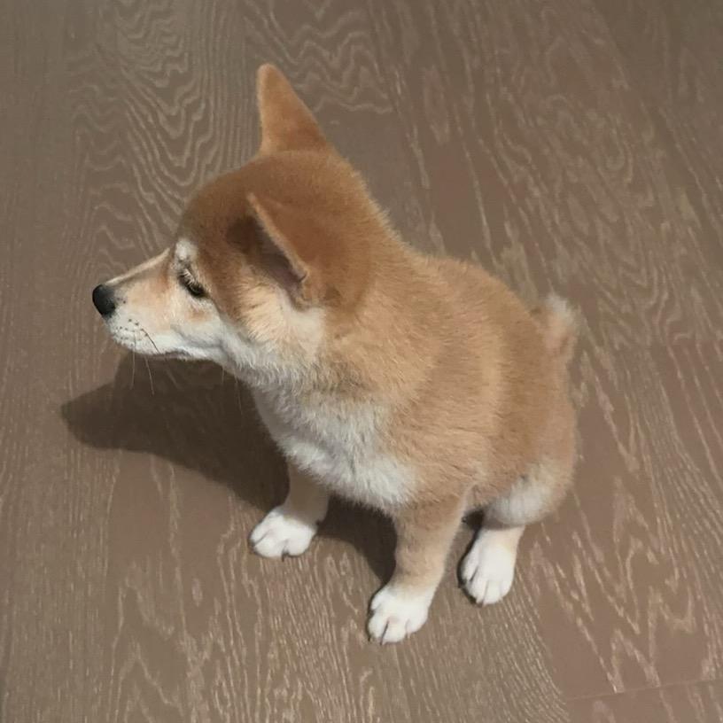 眼泪成诗
