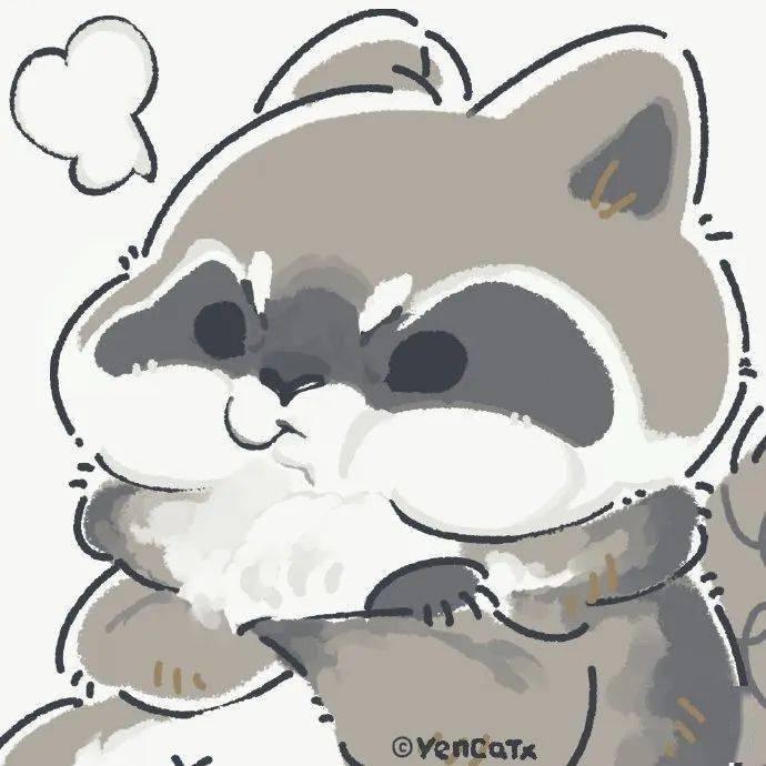 一只小浣熊