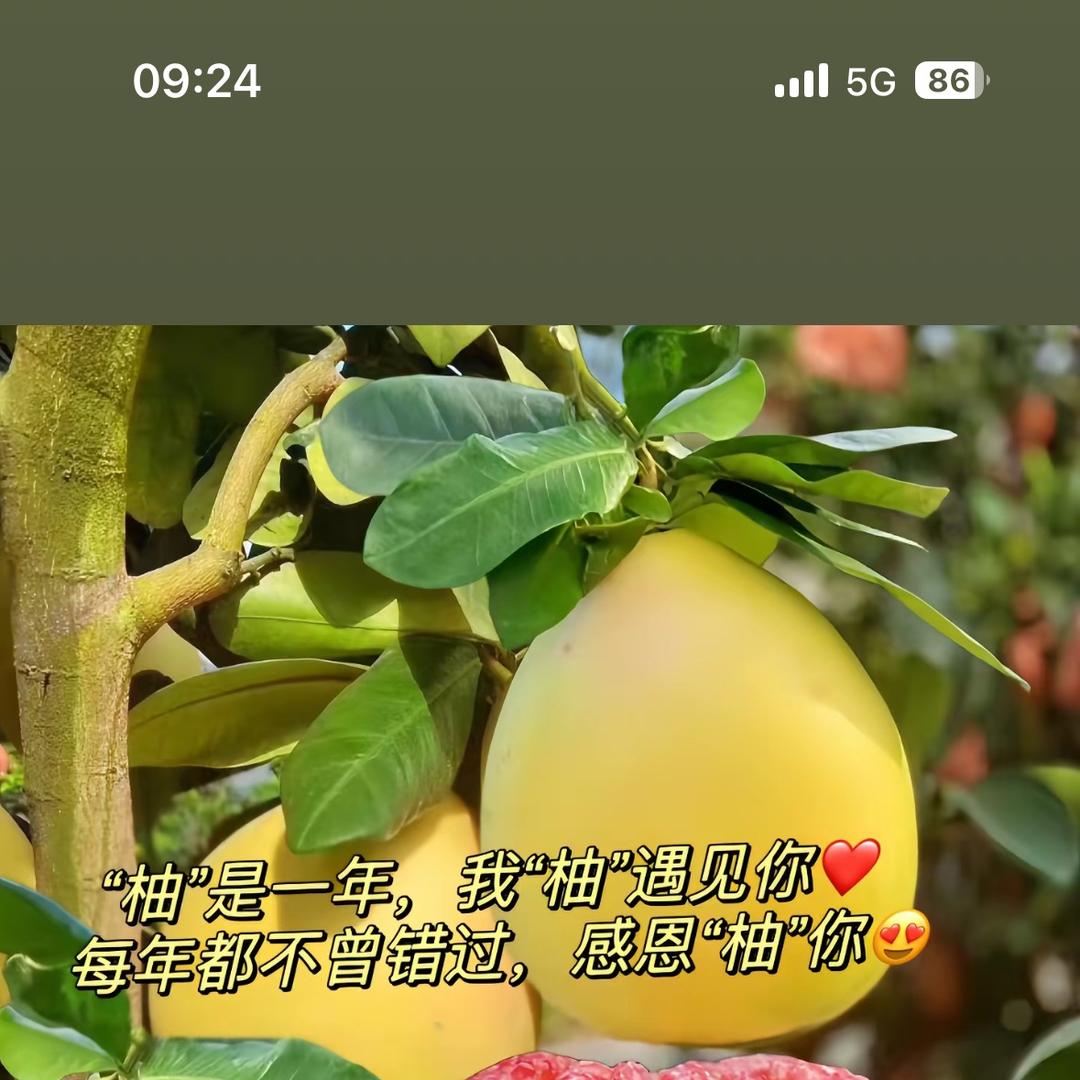 万果丰（代收代卖）