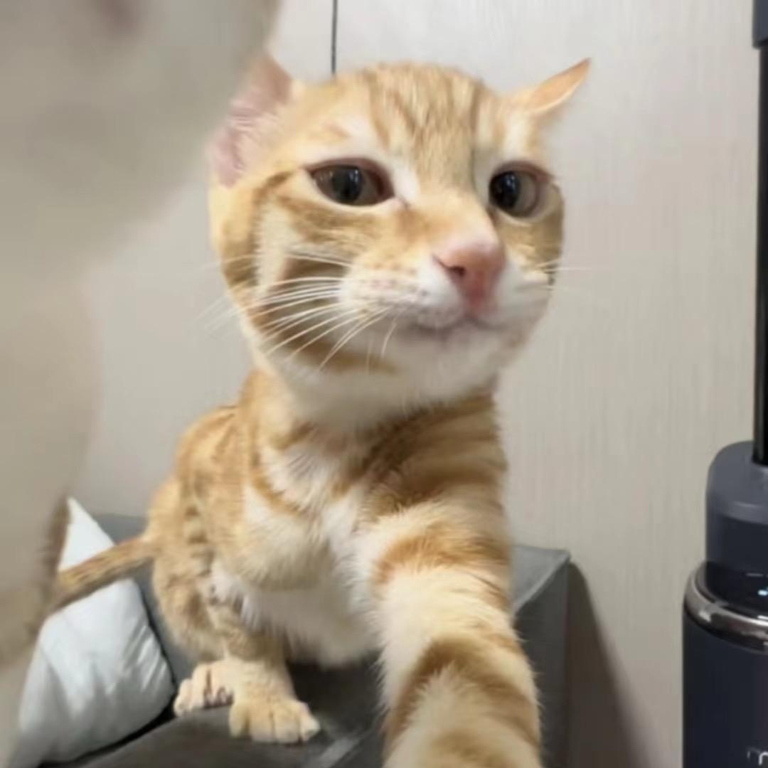 段誉
