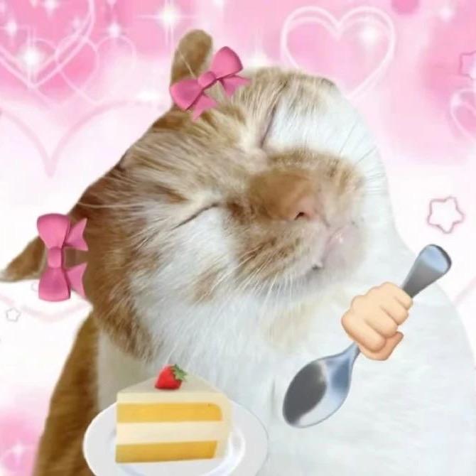 11,