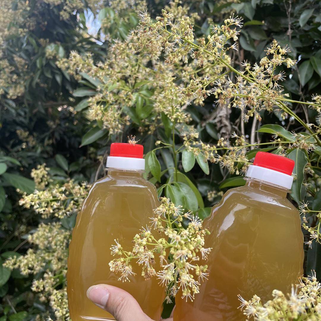 根商荔枝妹