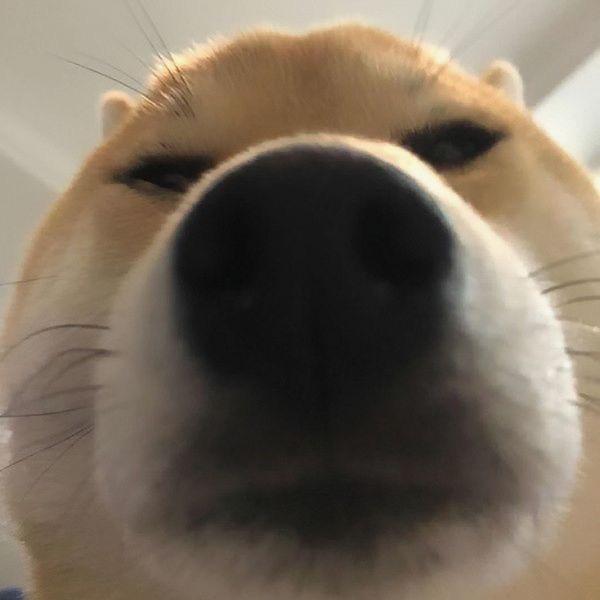 瑜-