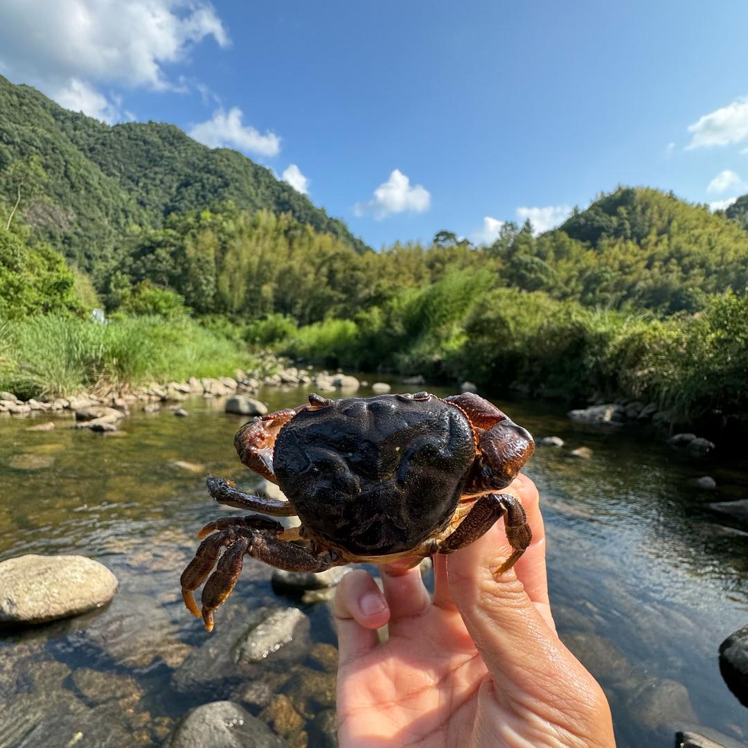 小宇的路亚日记