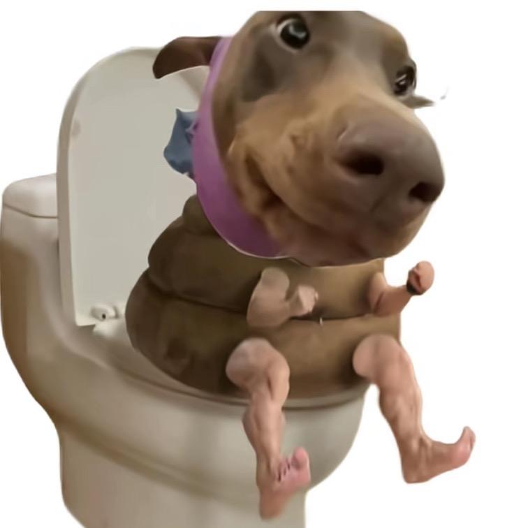 我又怎么你了