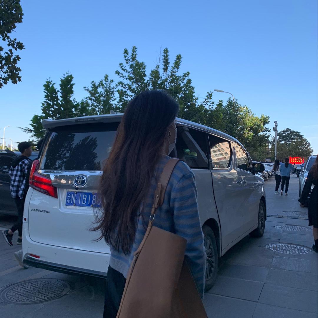 梵高的向日葵.