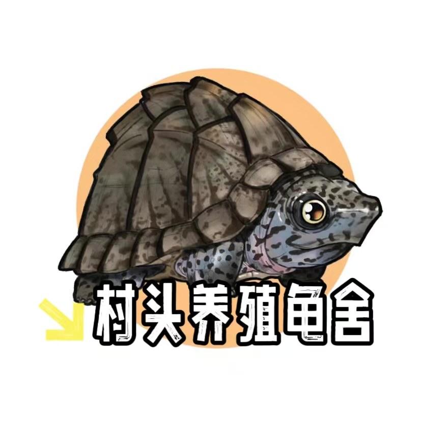 村头养殖龟舍