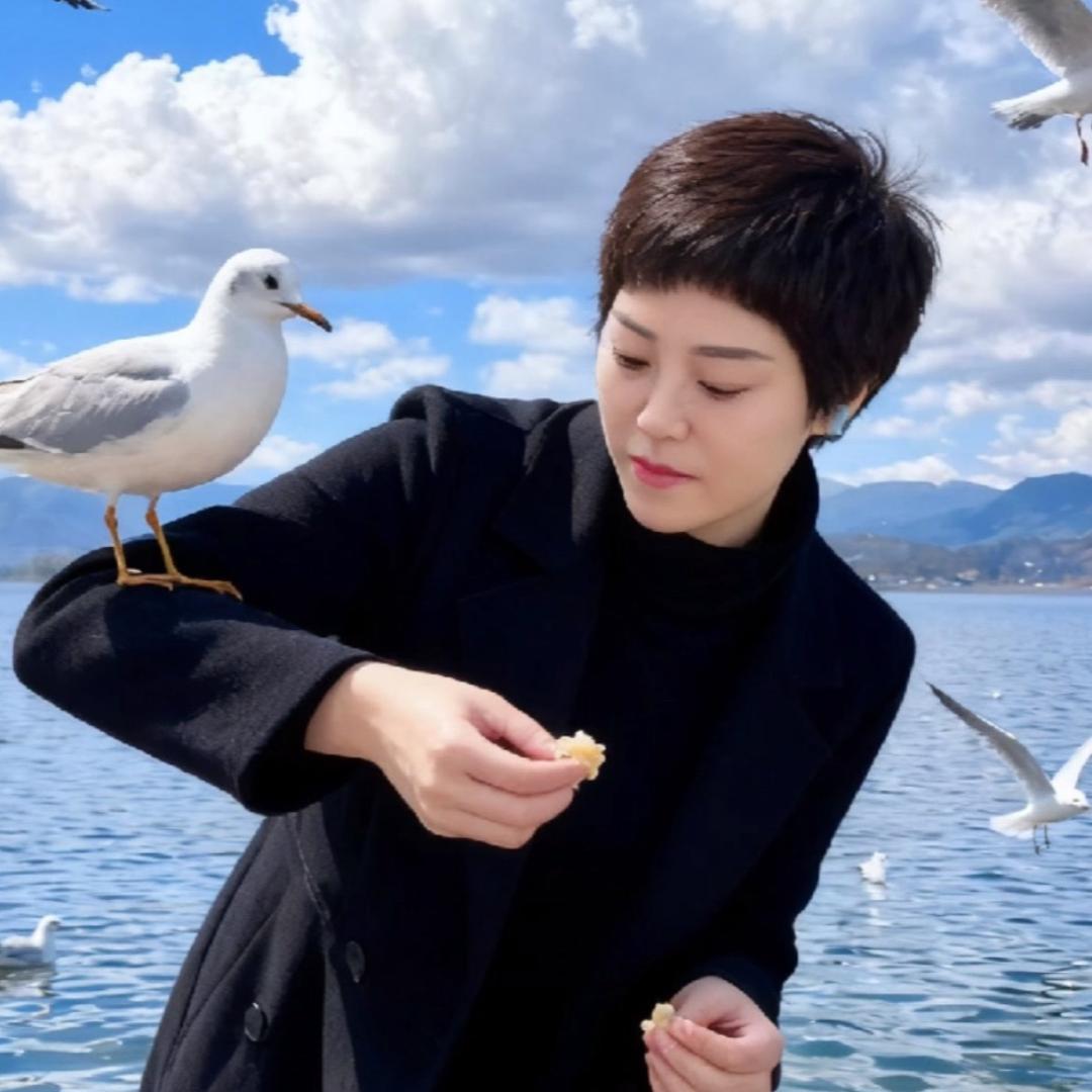 风云静姐