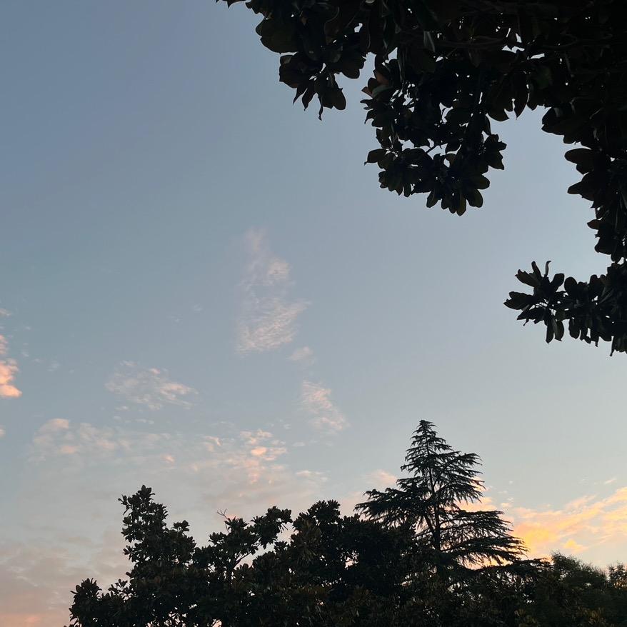 百孝殡葬用品批发