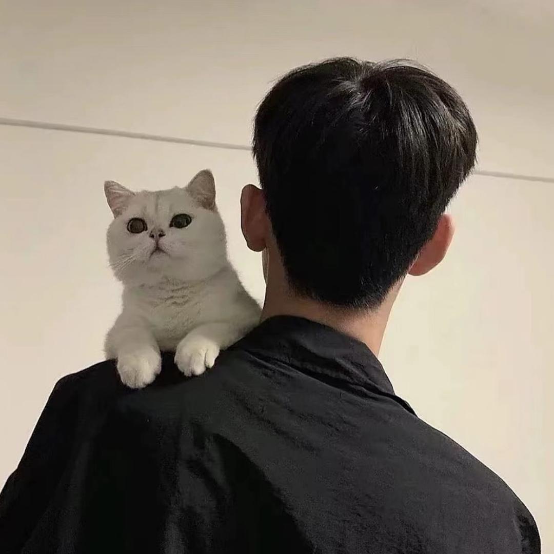 將軍