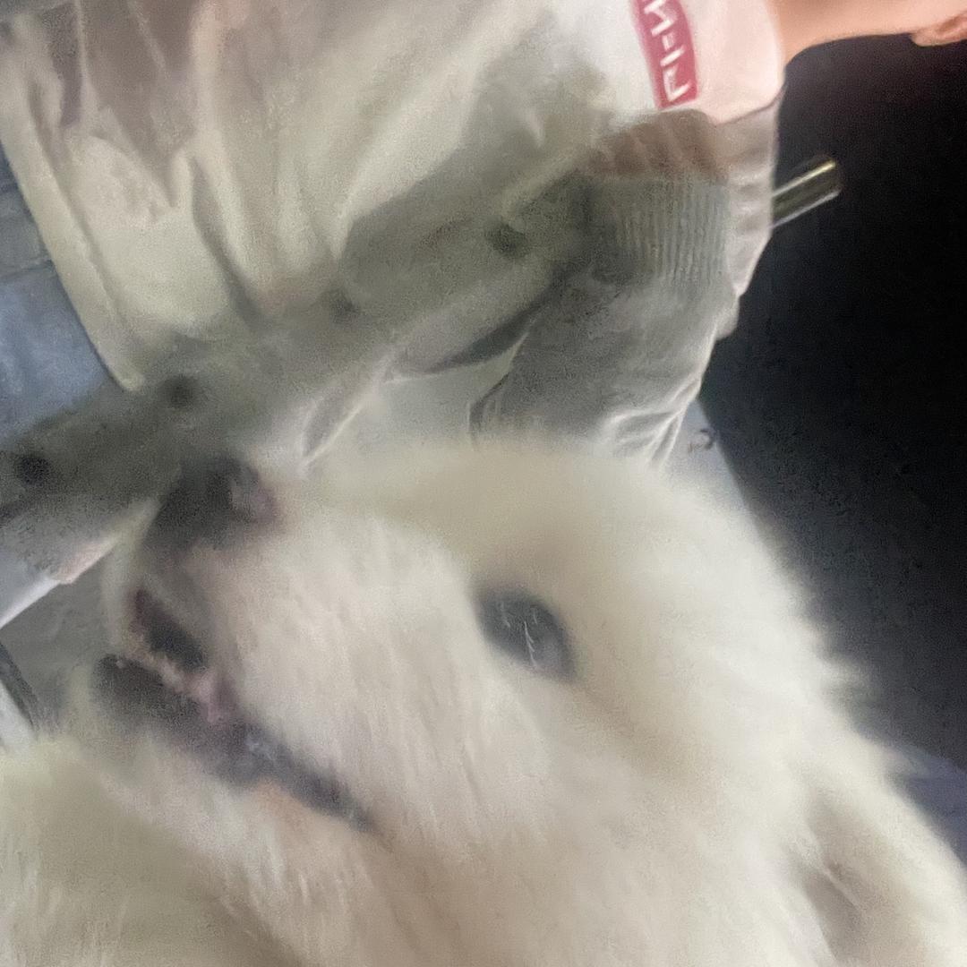 睡大觉