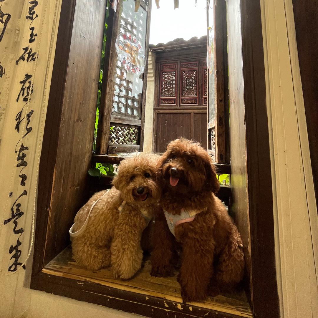杭州大厦戴比尔斯Candice小陈