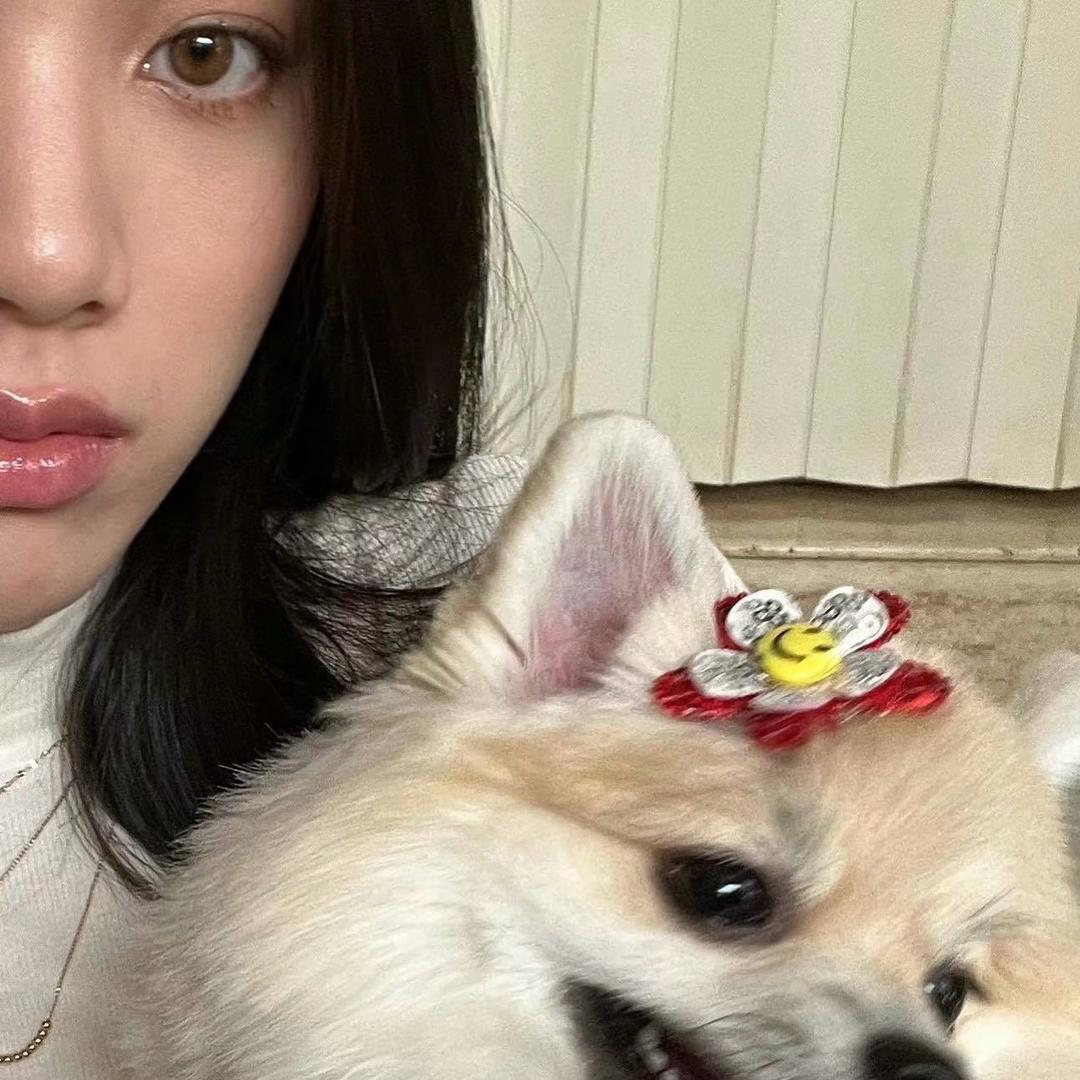 🐶不理肉包子