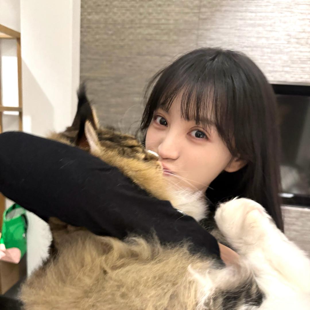 JiSYing