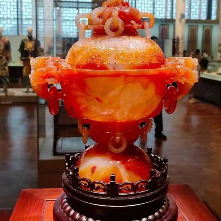 杨氏集团
