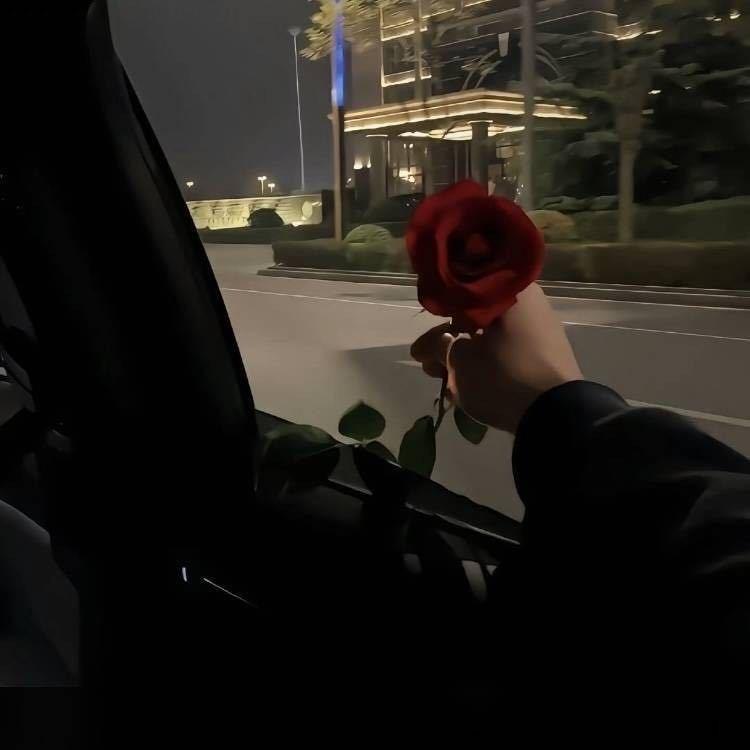 ᅠᅠᅠᅠᅠᅠᅠᅠᅠTraveler.旅客