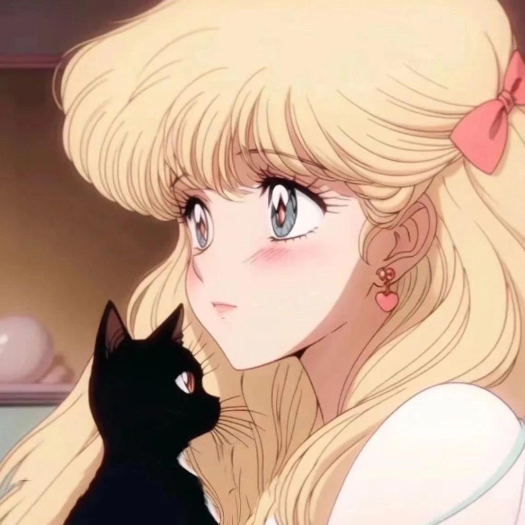 橘猫.