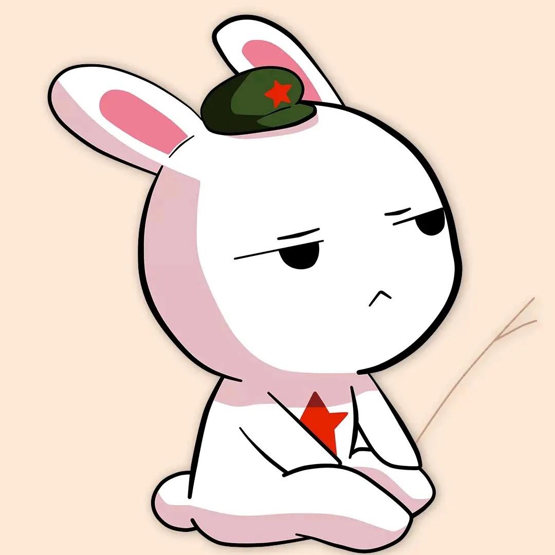 歪果仁热评
