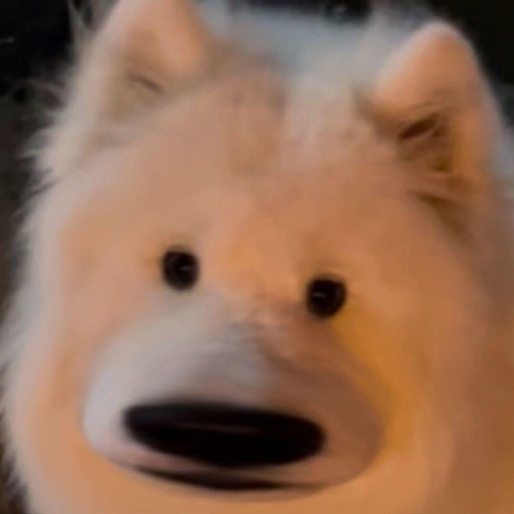小烦.