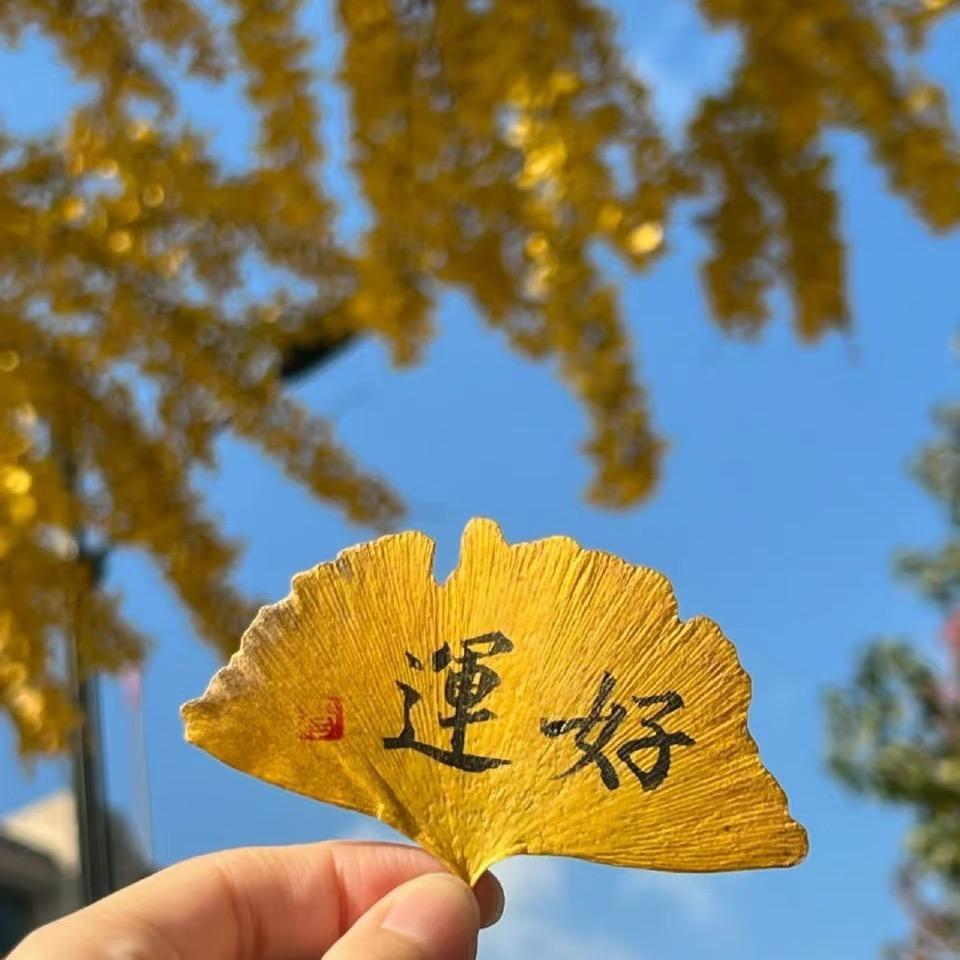 马到功成🌟