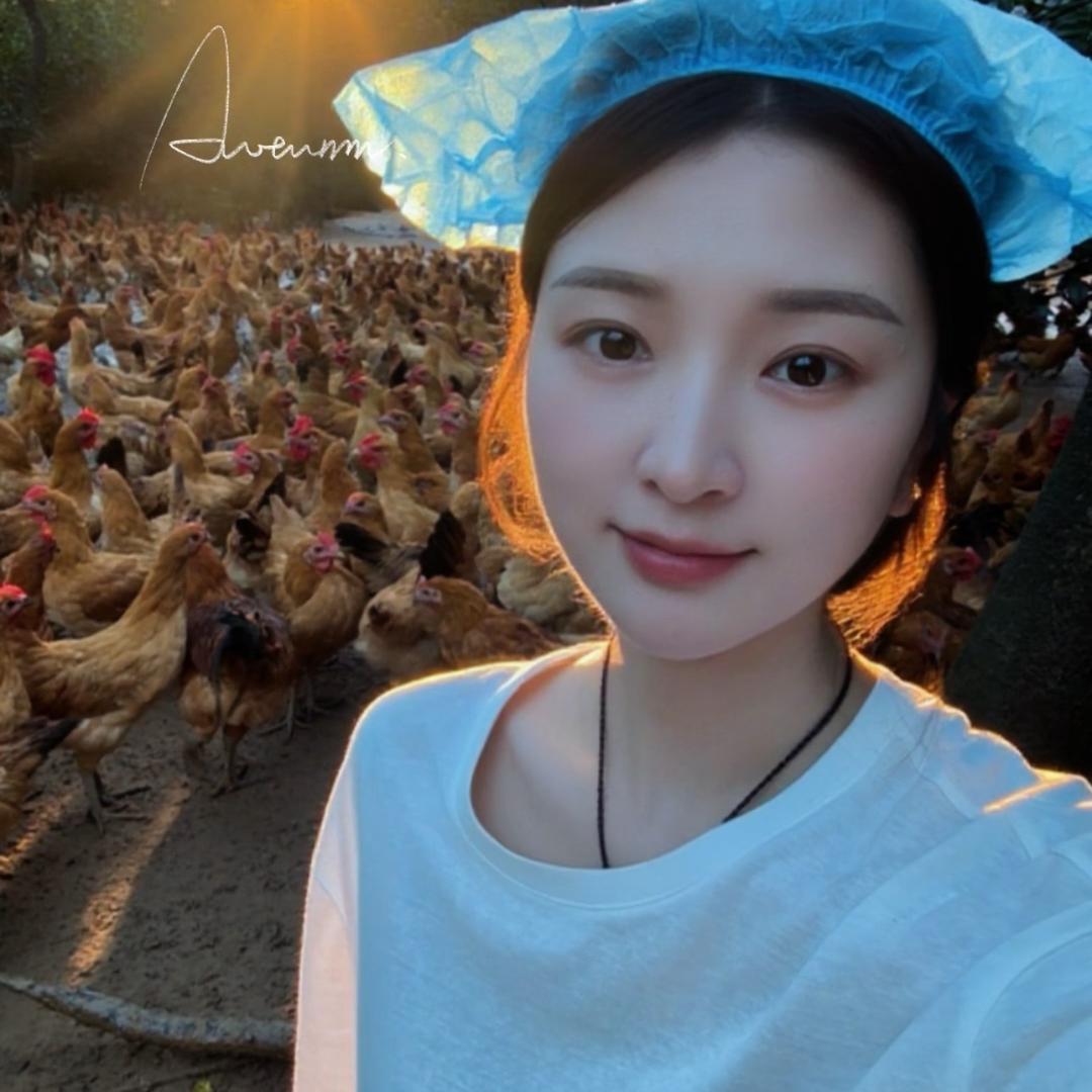 程宝 养鸡技术 全国看鸡