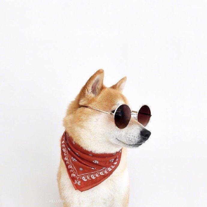 詹姆斯丶狗二蛋