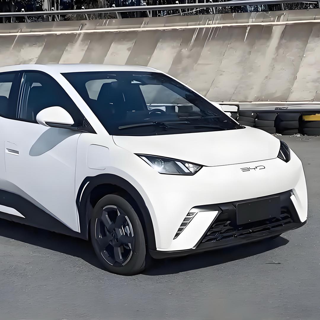 来聊聊比亚迪海鸥