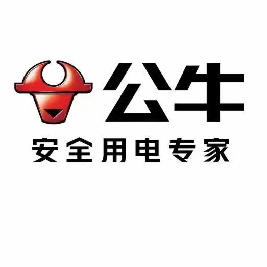 🌈公牛安〈🐮〉全插座