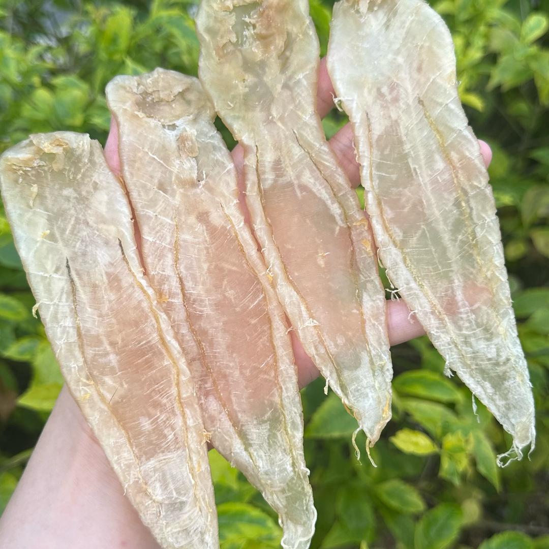 南澳小戴鱼胶150