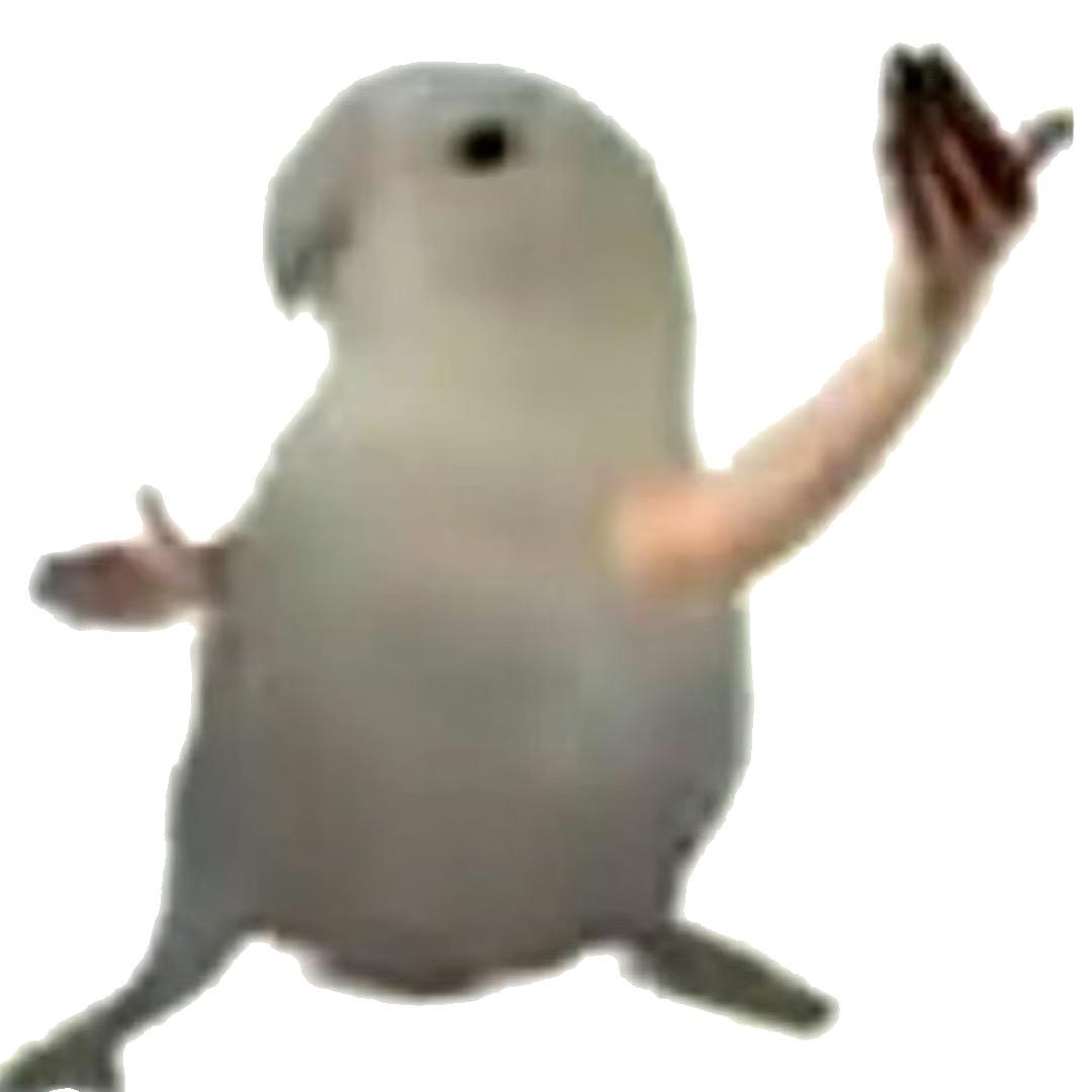 我是一个宝宝