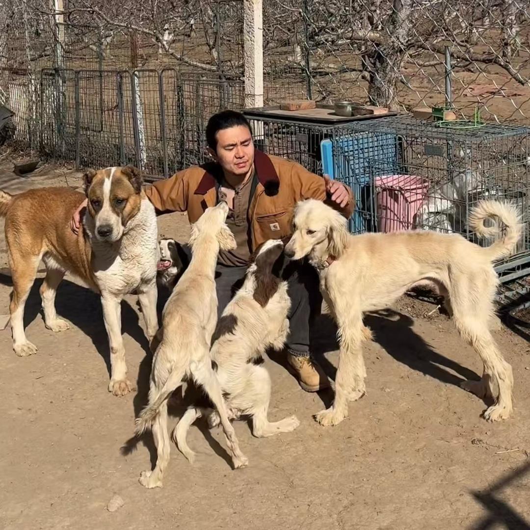 狗某人