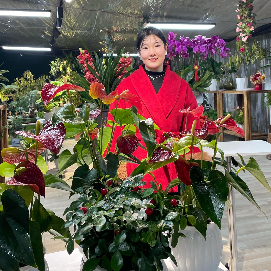 陕西泾阳盛森花卉绿植