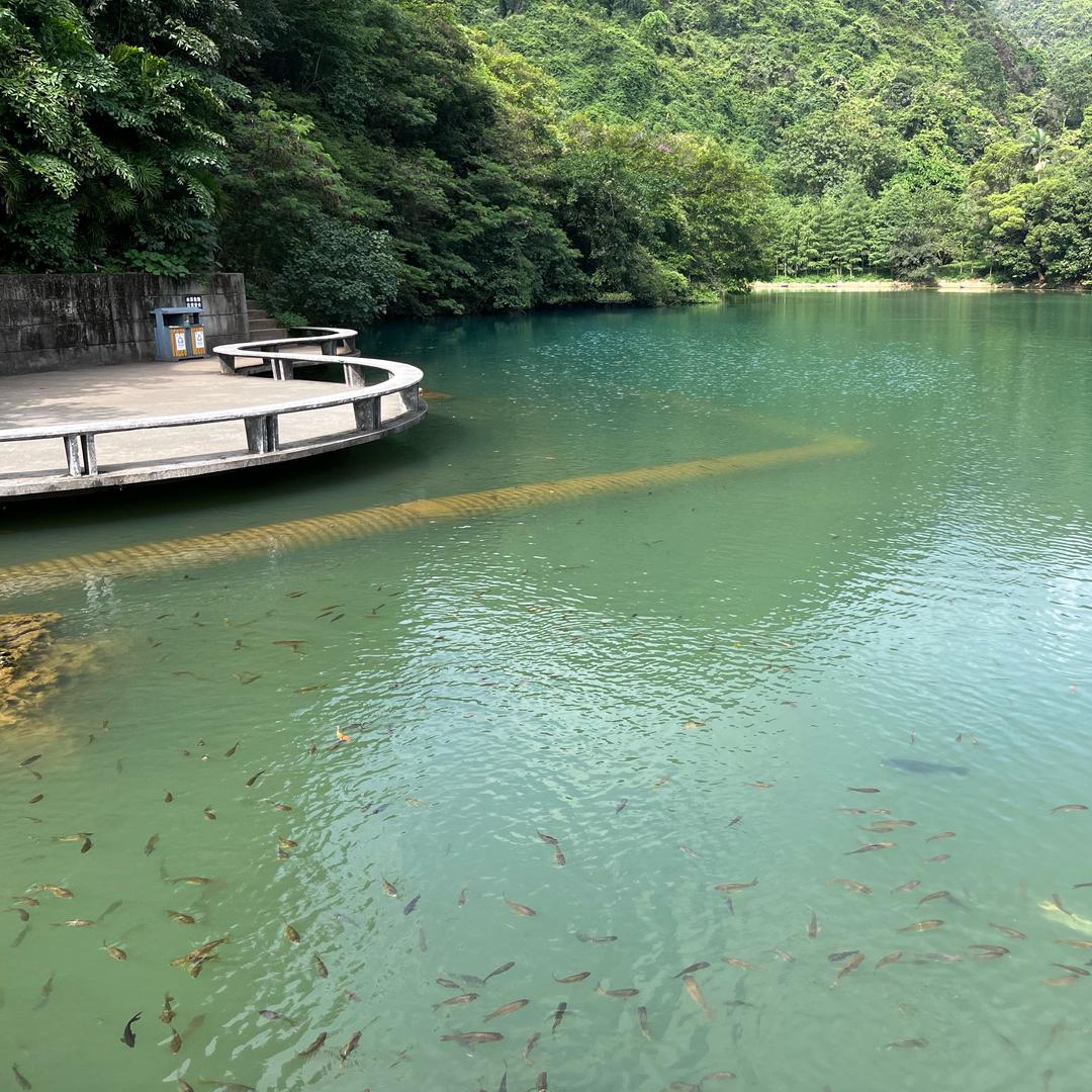 黄经理2