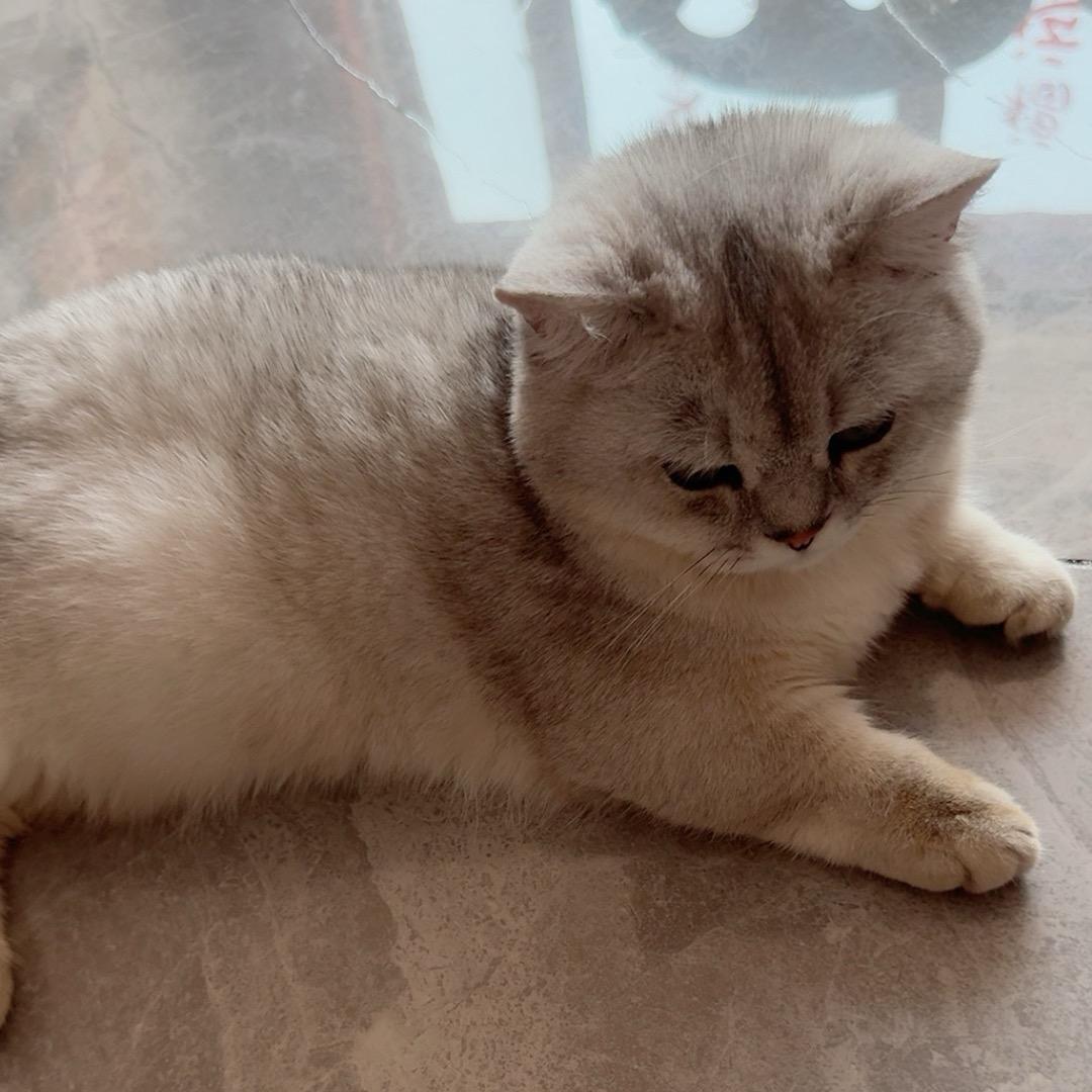 小小先生