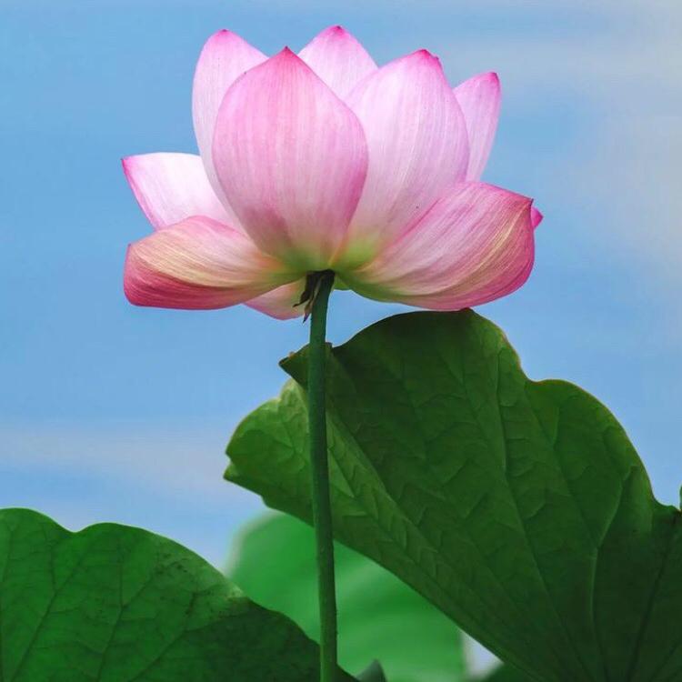 桦幸科技生活馆