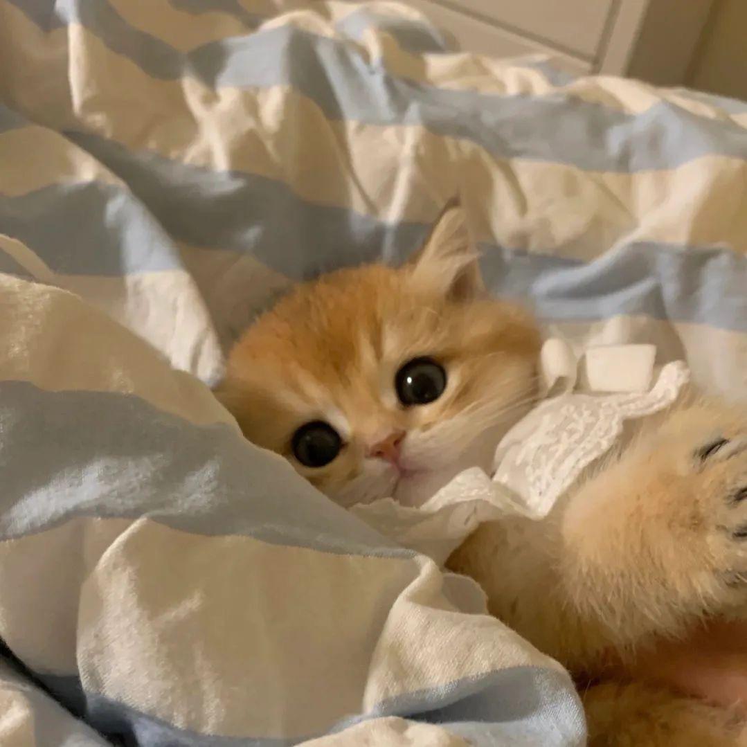睡不饱