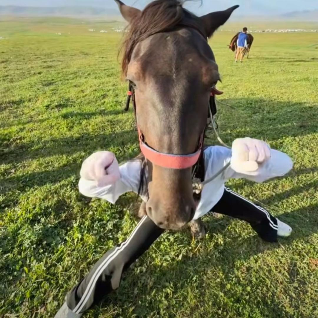 凌晨出门买茅台